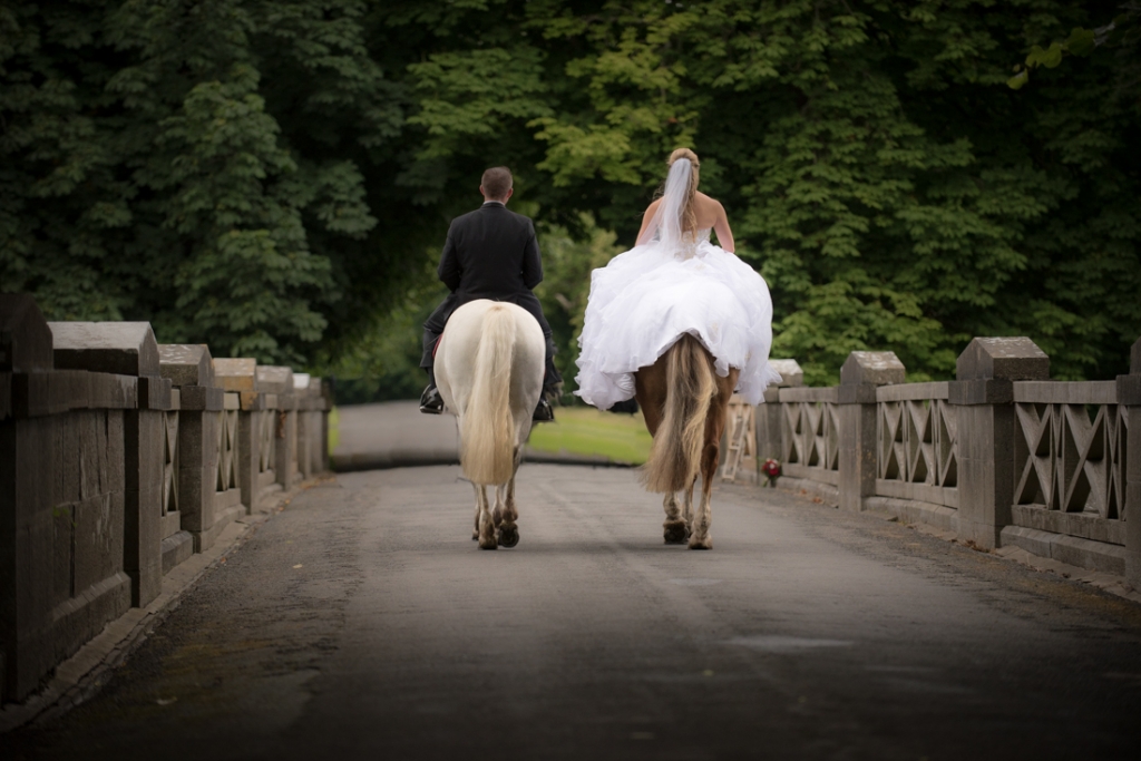 luttrellstown castle wedding photos by the fennells-horse